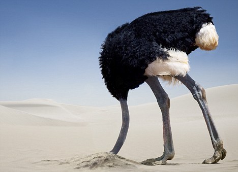 [Image: ostrich-hiding-its-head-under-sand-to-pr...d-copy.jpg]