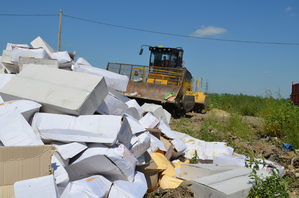 Destruction of Putin-sanctioned cheese in Belgorod oblast of Russia (Image: social media)