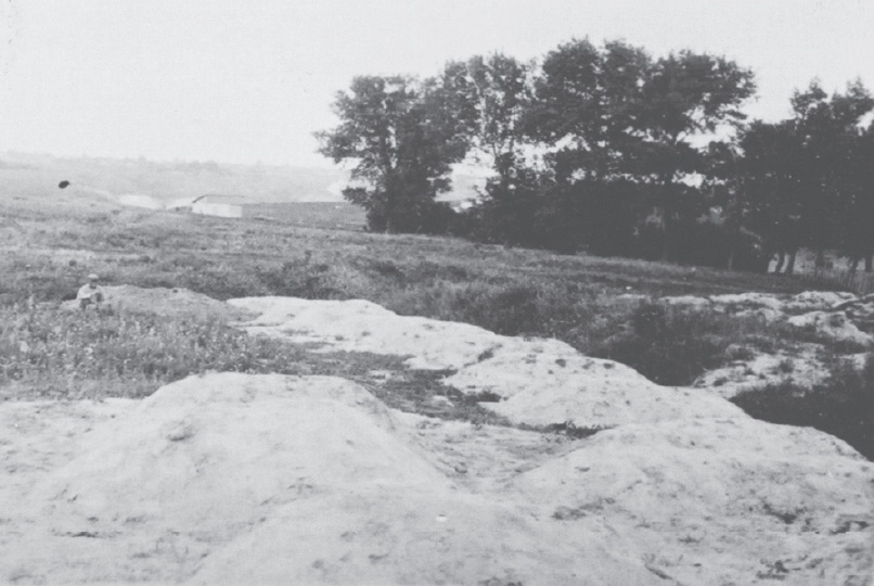 A mass grave of the starved to death in Kharkiv province. The Holodomor in Ukraine, 1933. (Image: fundholodomors.org.ua)