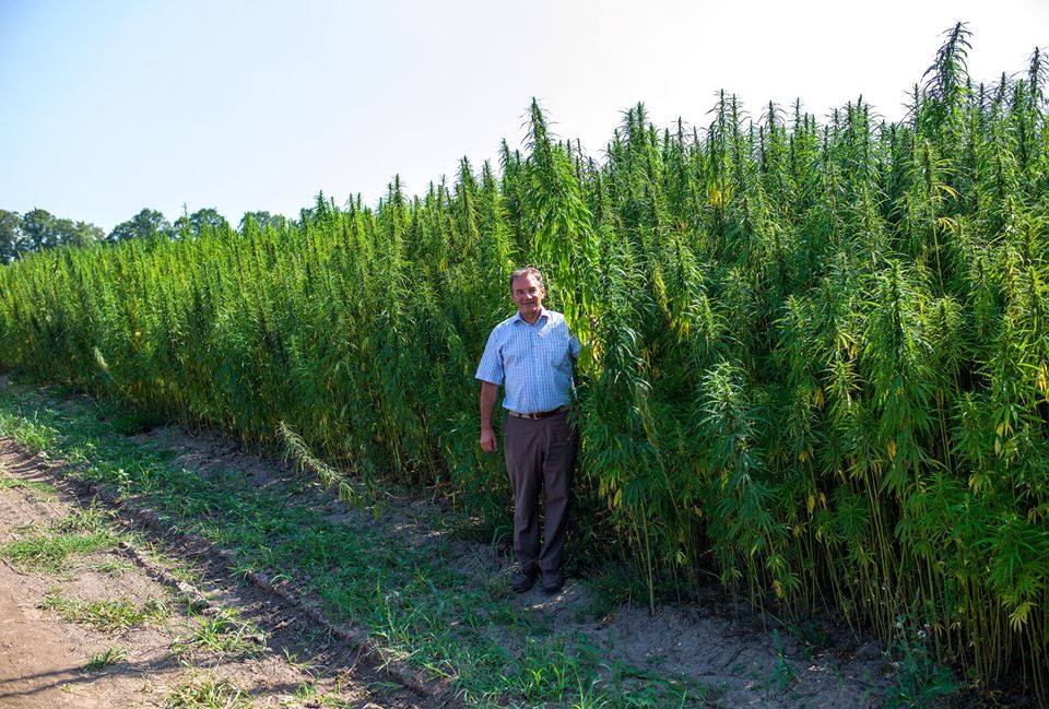 Michel Terestchenko near the hemp plantation in Hlukhiv. Photo: courtesy