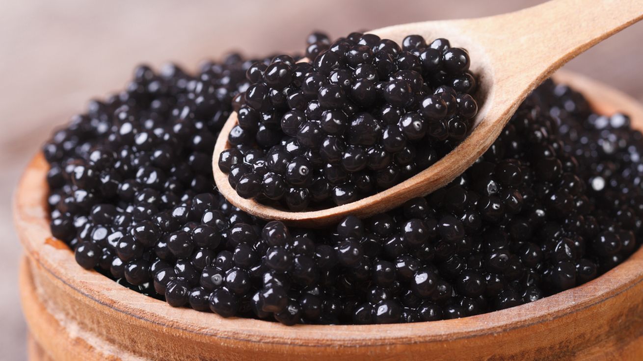 Hasil gambar untuk caviar