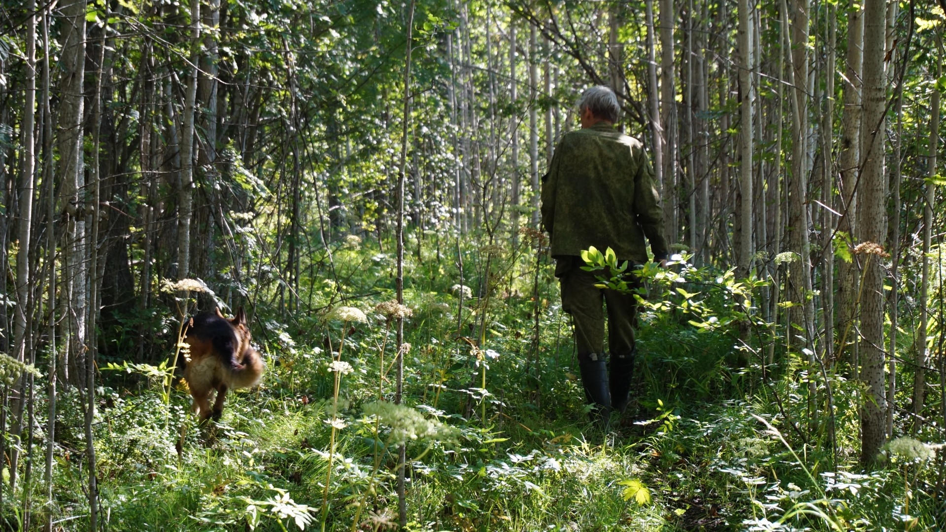 Solovki, near th Sekirna mountain, photo: Kirill Safronov 