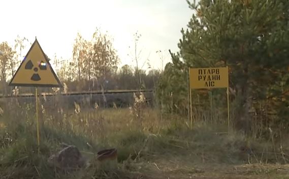 Signs warning of the "ginger forest"