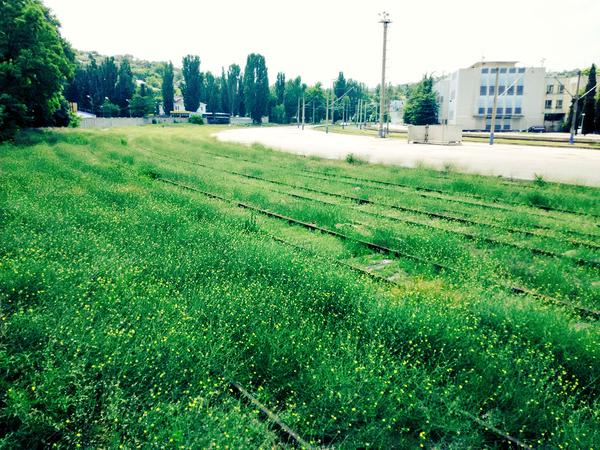 As Crimea's economy after the Russian occupation has slowed to a standstill, the railroad yard in Sevastopol is being overtaken by grass. June 2015 (Image: Twitter)