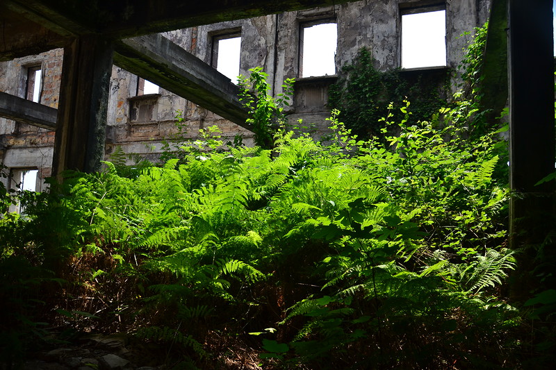 Abkhazia: Inside the Abkhaz Parliament Building (Image: Aleksandr Valov, blogsochi.ru)