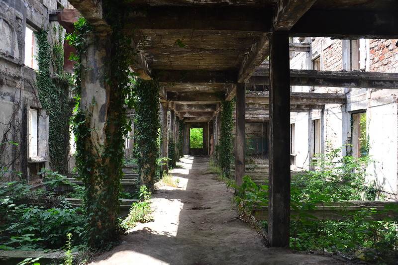 Abkhazia: Inside the Abkhaz Parliament Building (Image: Aleksandr Valov, blogsochi.ru)