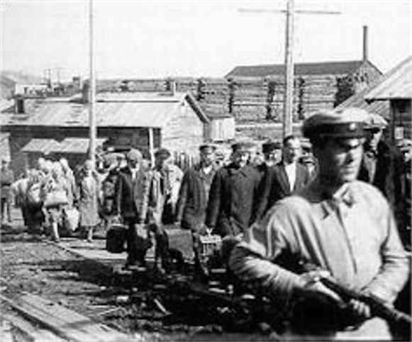 New arrivals to the GULAG concentration camp on the Solovetsky Islands, also known a the Solovki. Millions of Soviet and foreign citizens were killed, starved or worked to death in camps like this.