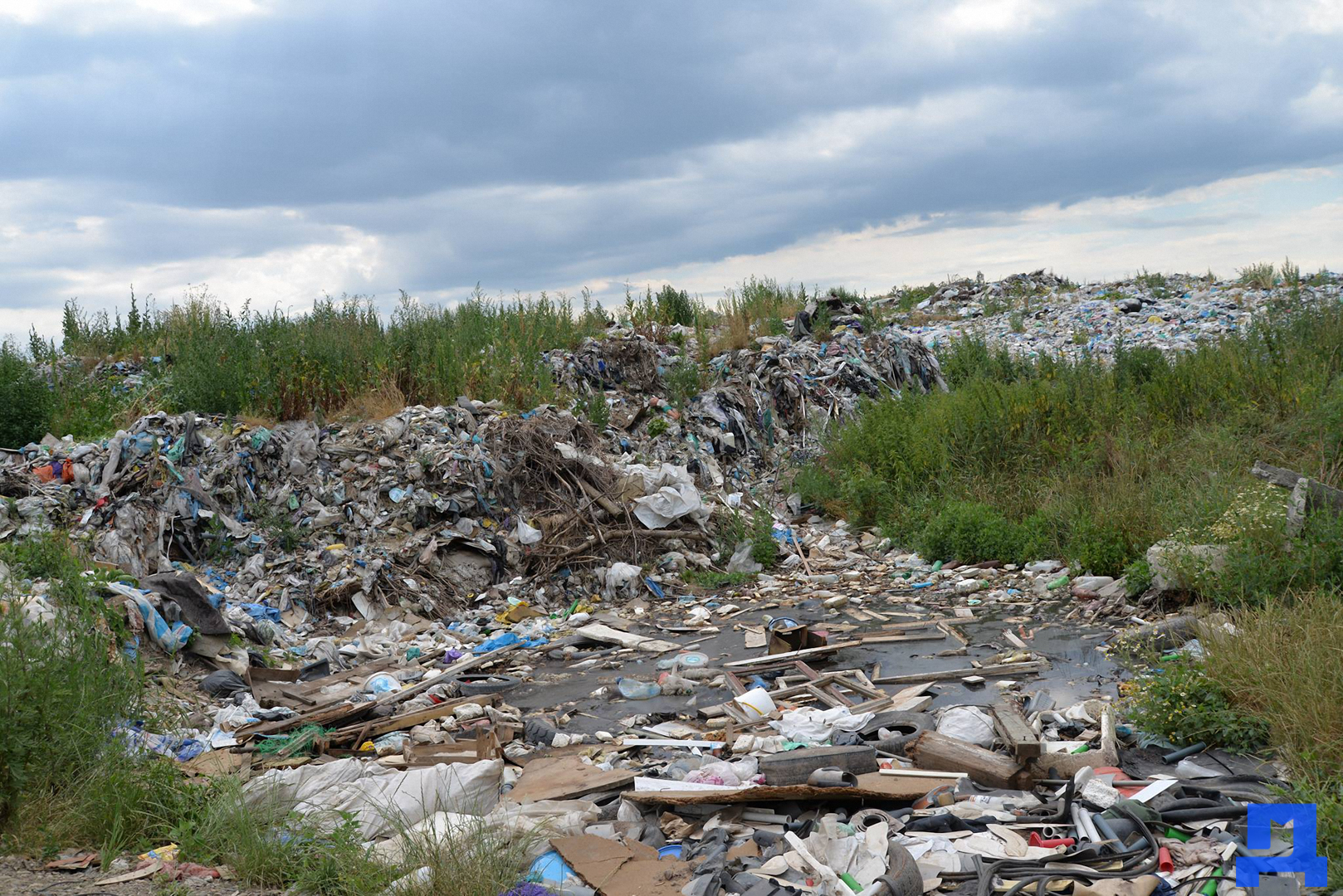 environmental problems in ukraine essay