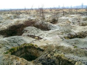 Illegal amber mining in Polissia ~