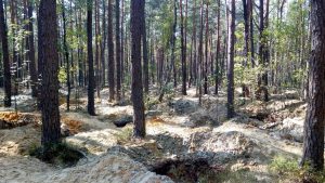 Moon-like craters caused by illegal amber mining in Volyn forests ~