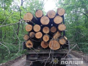 Lorry carrying illegal timber in Kharkiv Oblast. Photo: National Police of Ukraine ~