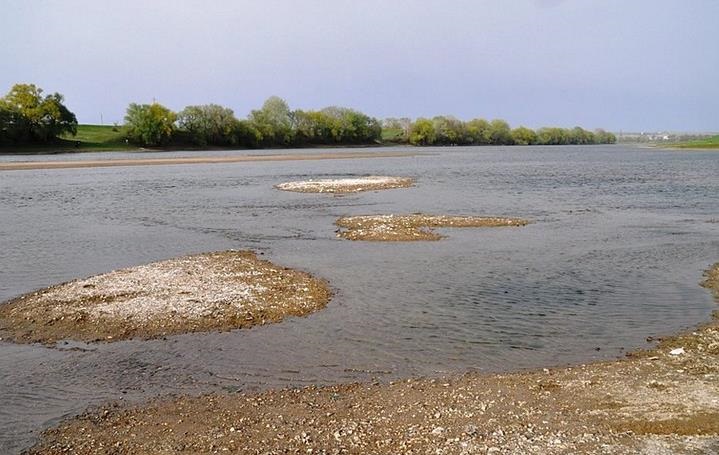 Islands appeared in the shallowed Dniester River, 2020 (Source: korrespondent.net)