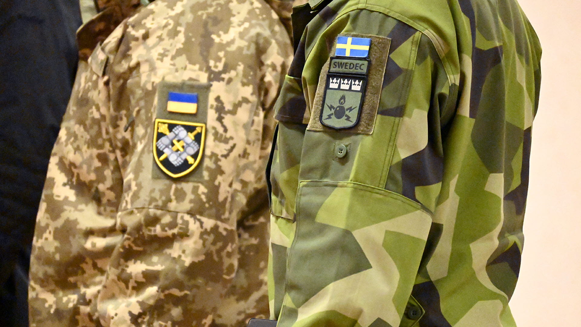 swedish ukrainian military