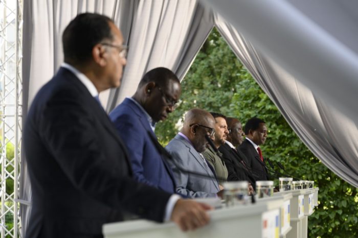 African leaders Ukraine zelenskyy peace plan4