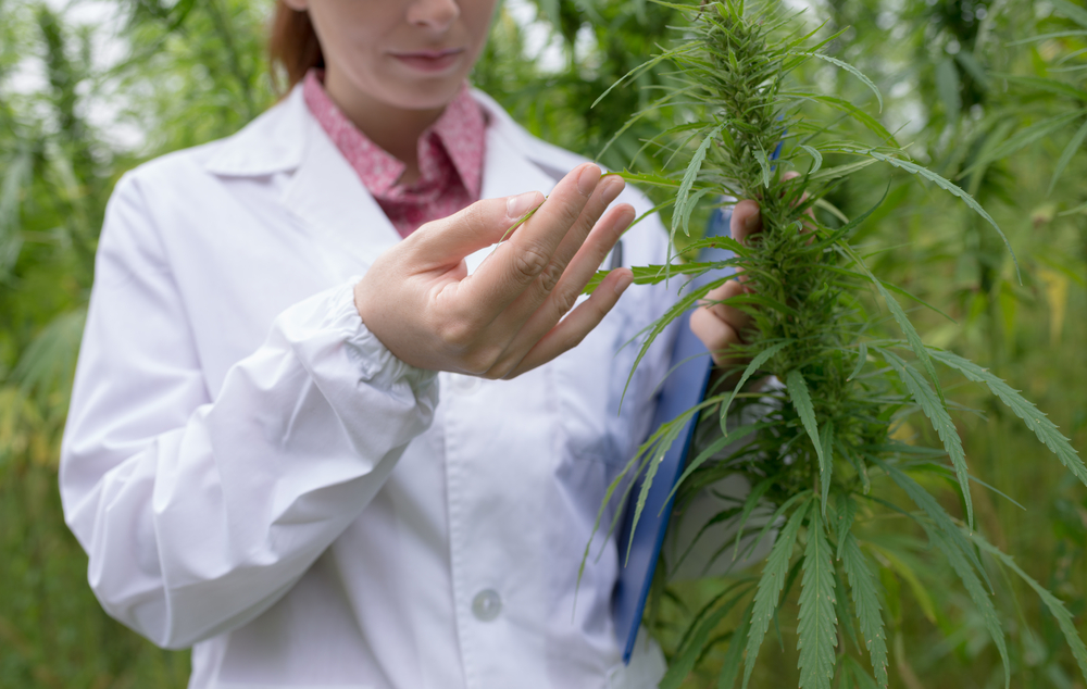 Cannabis medical Ukraine