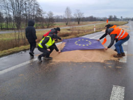 Protesting Polish farmers covering the grain spilled from Ukrainian trucks with the EU flag near Dorohusk, Poland. 11 February 2024. Photo: farmer.pl/Monika Chlebosz