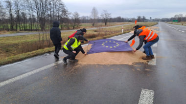 Protesting Polish farmers covering the grain spilled from Ukrainian trucks with the EU flag near Dorohusk, Poland. 11 February 2024. Photo: farmer.pl/Monika Chlebosz
