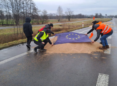 Protesting Polish farmers covering the grain spilled from Ukrainian trucks with the EU flag near Dorohusk, Poland. 11 February 2024. Photo: farmer.pl/Monika Chlebosz