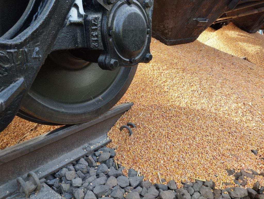 US forecasters see Ukraine's corn exports falling 39% as Russia bombs ports