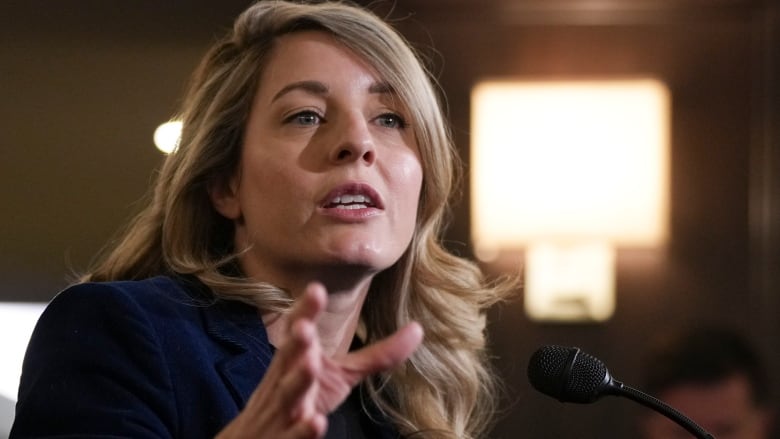 canada pushes allies approve ukraine's long-range strikes russia western weapons canada's minister foreign affairs mélanie joly