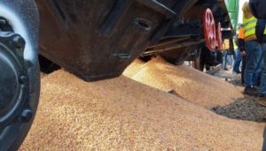 polish farmers spilling ukrainian grain