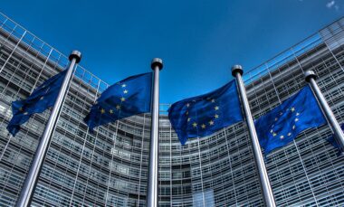 ukraine's right self-determination non-negotiable all eu leaders say except hungary's flags european union commons/thijs ter haar backdrop potential territorial concessions looming over trump's meeting putin stand united support sovereignty 12