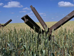 Ukrianian land, field