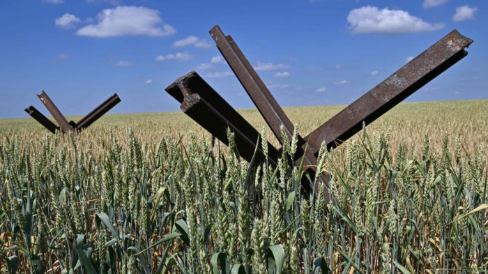 Russian invasion decimates Ukrainian agriculture, 30% potential lost – Ministry of Agrarian Policy