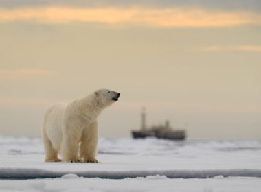 Next Russia target in Europe you never knew of: Norway's Svalbard Archipelago