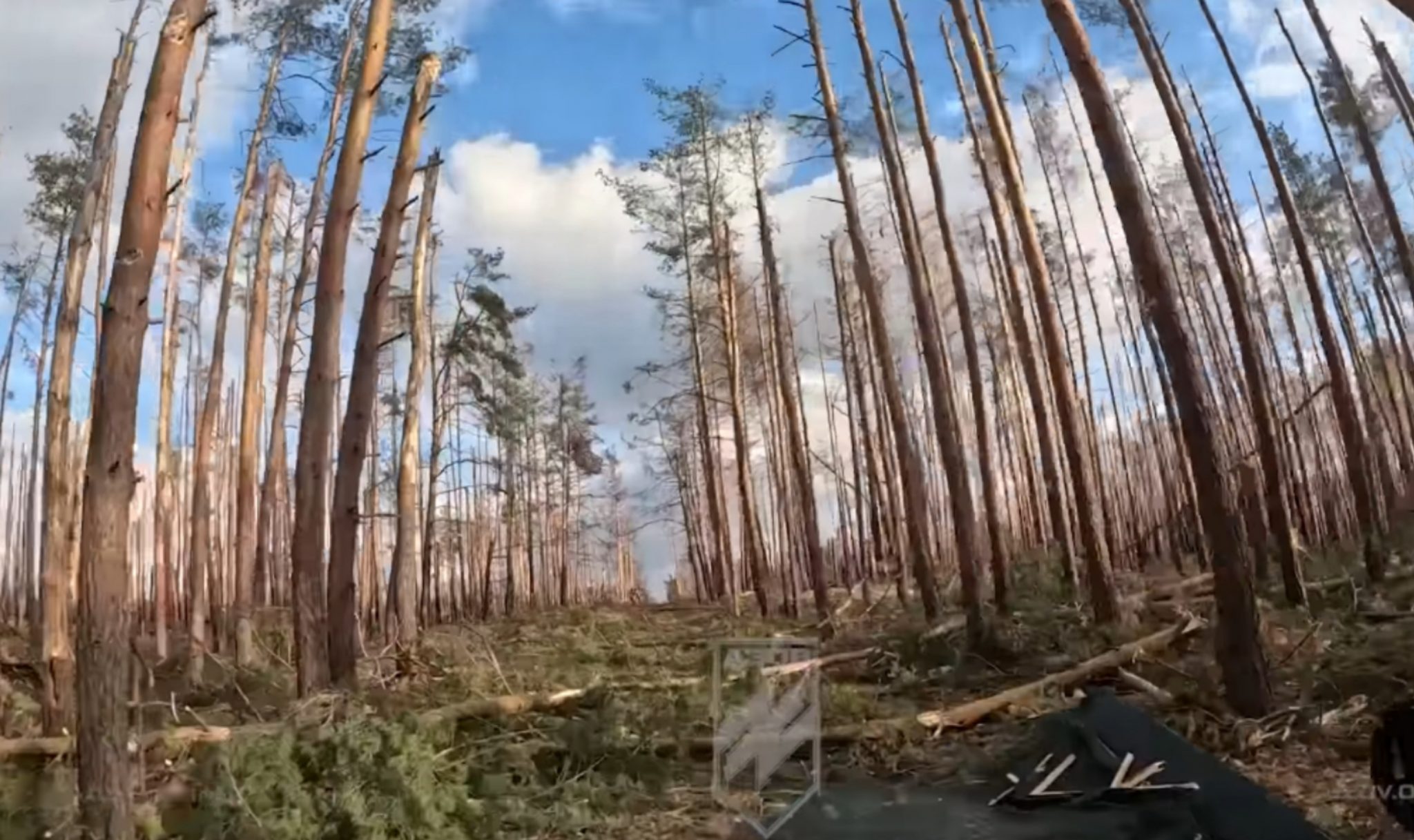 Serebryansky forest, as a result of fighting between Ukrainian and Russian forces. Photo via Azov brigade.