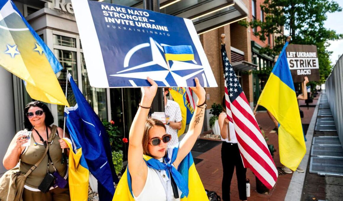 Ukrainian rally USA Washington DC NATO