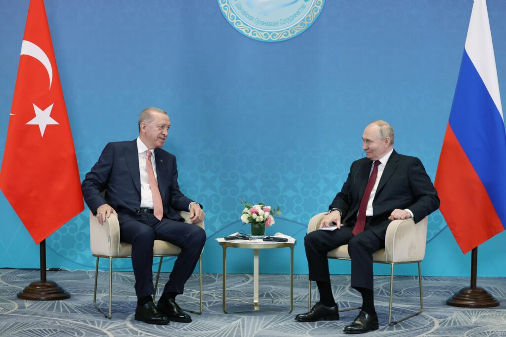 Erdogan proposes Turkey as mediator for Russia-Ukraine ceasefire in talks with Putin