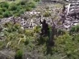 frontline report russia's african mercenary confronts ukrainian drone wooden stick kharkiv oblast screenshot from reporting ukraine video russia