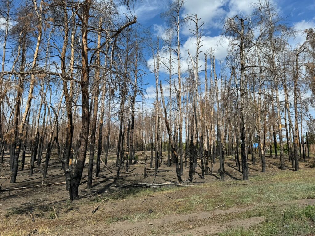 Russia’s war destroys 80 % of Ukrainian “Holy Mountains” National Park in Donetsk Oblast