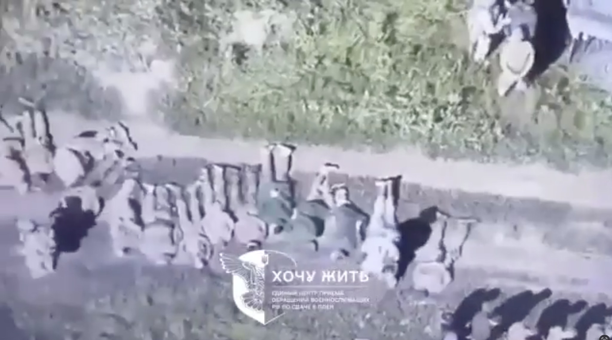 A screenshot from the video reportedly showing Russian POWs in Kursk Oblast.