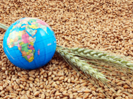 Global-Food-Security