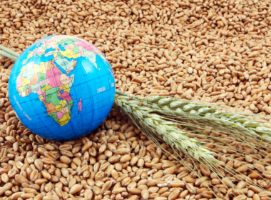 Global-Food-Security