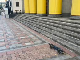 Russian drone debris lands by Ukrainian parliament