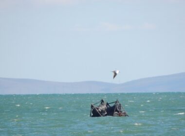 russian naval security barriers kerch bridge found floating near coast piece boom defenses drifting off