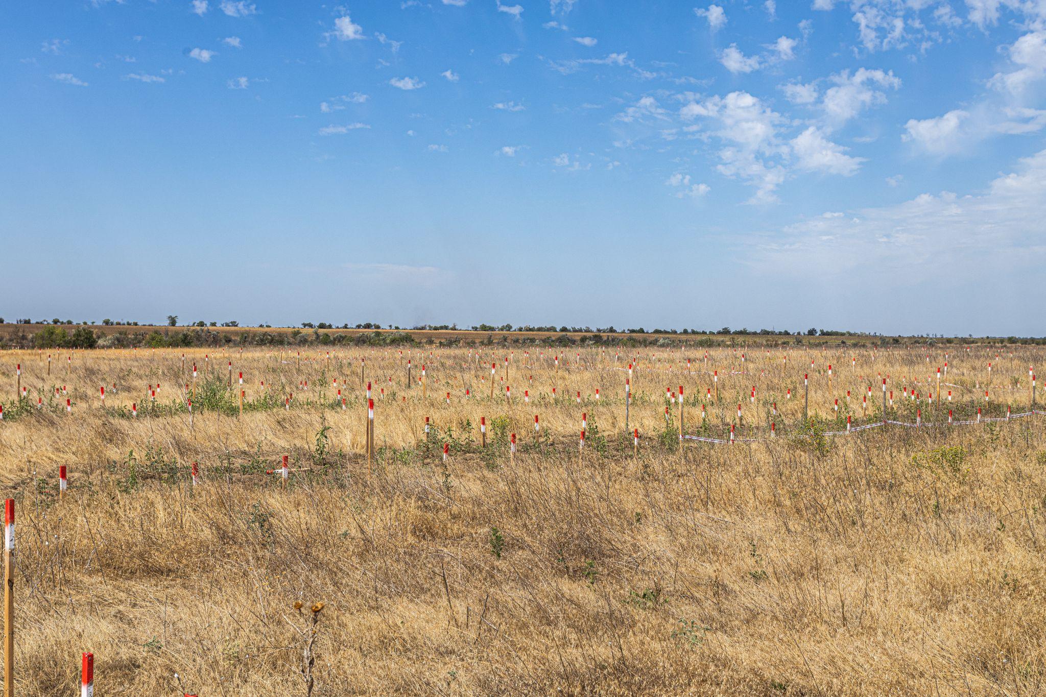 A marked field showing the extent of mine contamination in the area. The war made a quarter of arable lands unusable, reducing Ukraine's GDP by $11.2 billion