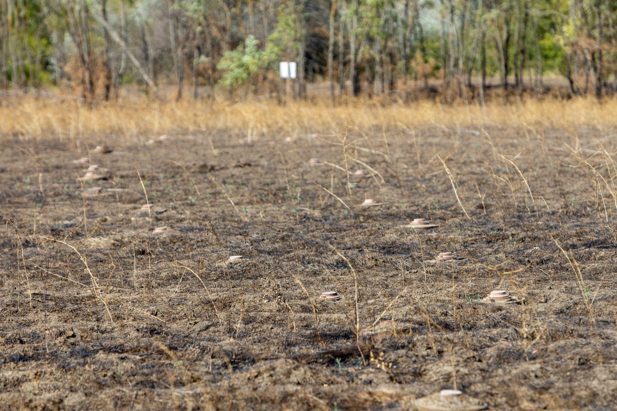 A row of anti-tank mines in a field. The area was a frontline for nine months. Demining during the full-scale Russian invasion