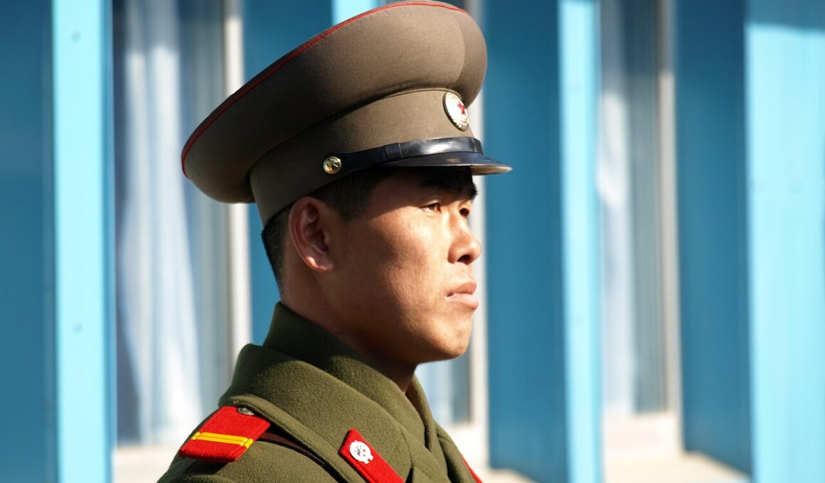 A North Korean serviceman, illustrative image. Photo via Wikimedia.