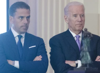 Hunter biden in Ukraine, bruisma