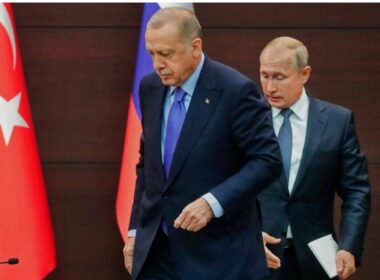 türkiye supports immediate ceasefire russia's war against ukraine recep tayyip erdoğan vladimir putin erdogan_putin (l) tass president turkey erdogan stated ready make any contribution including hosting negotiation process establish fair