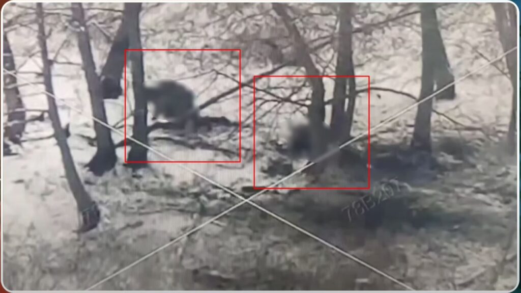 frontline report north koreans face catastrophic losses near kruglenkoe ukrainians reclaim positions reporting ukraine's video 16 2025 today important updates kursk direction ukraine news ukrainian reports