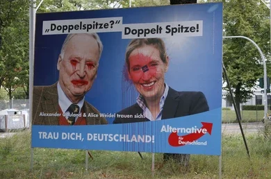 AfD lambasted