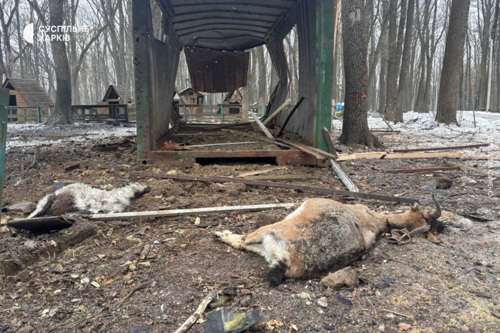 Russian drone strike kills animals at Kharkiv’s Ecopark, targets civilian areas