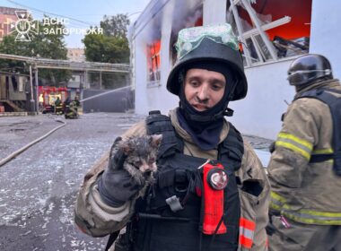 firefighter holds kitten rescued burning building zaporizhzhia after russia's air attack 14 2025 0aa3689b-79fd-4eca-b176-b63e729219fb ukraine news ukrainian reports