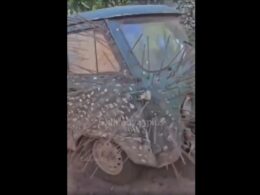 A Russian porcupine bukhanka.