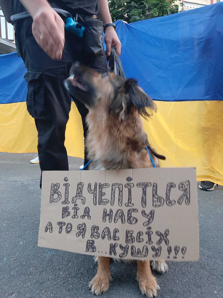 Ukraine protests against corruption NABU SAPO Zelenskyy Kyiv